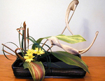 Los 5 estilos del arte del Ikebana