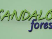 Sandalo Forest