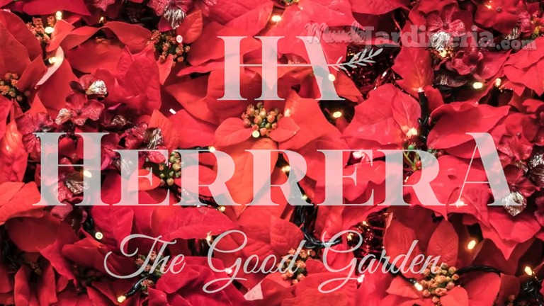 Jardinería Herrera les desea Feliz Navidad y Feliz año 2017