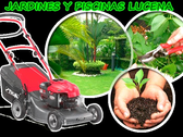 Jardines Y Piscinas Lucena