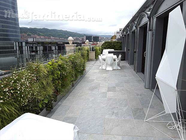 Jardín vertical en terraza.jpg