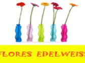 Flores Zaragoza Edelweiss