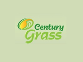 Century Grass