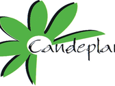 Candeplant