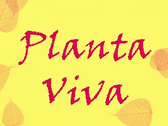 Planta Viva