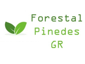 Forestal Pinedes Gr