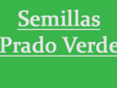 Semillas Prado Verde