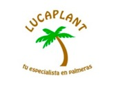 LucaPlant