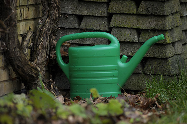 watering-can-1107225-1920-1.jpg