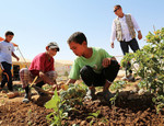 La jardinería ofrece una vía de escape a los refugiados sirios
