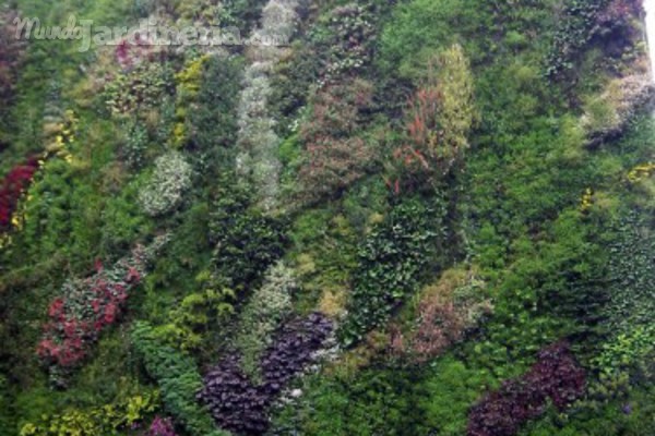 Jardines verticales: explosión verde en la ciudad
