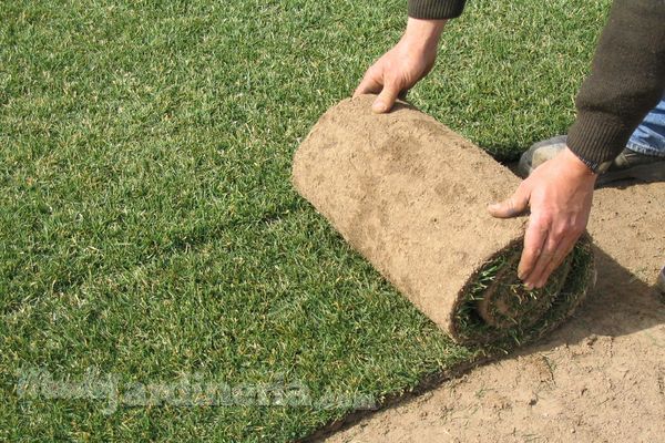 Ventajas de poner césped en tepes en tu jardín