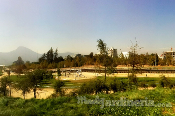 Principales cuidados de parques públicos y jardines