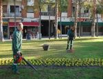 Prácticas de alumnos de jardinería en Extremadura
