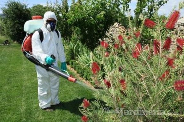 Cómo prevenir las plagas en nuestro jardín