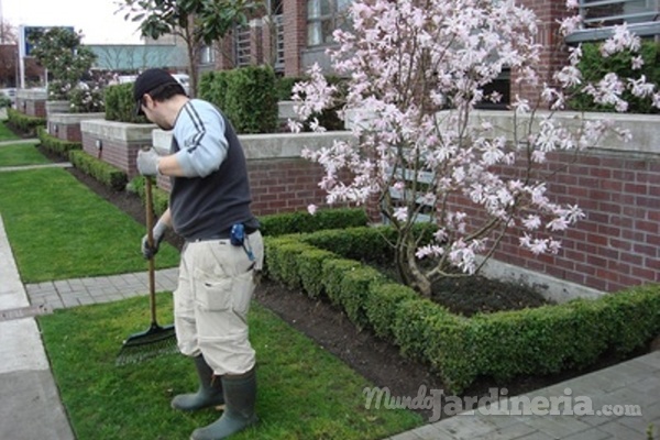 El intrusismo en el sector de la jardinería