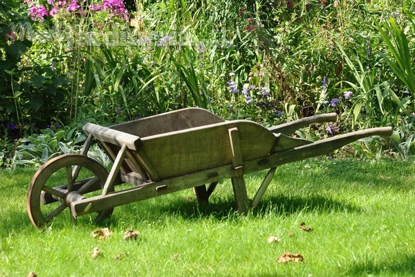 ¿Cómo crear un jardín pequeño y económico?