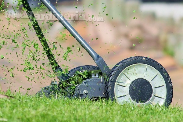 Sustratos para parques y jardines