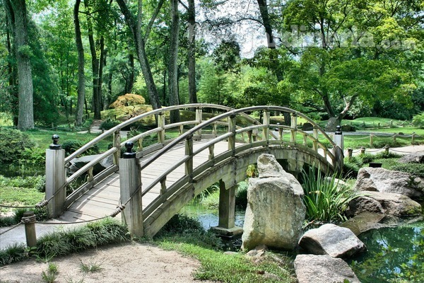 Jardines botánicos: espacios naturales con mucha historia