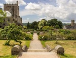 ¿Cómo crear un jardín inglés en casa?