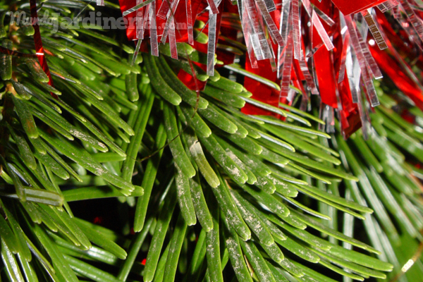 Cómo reutilizar el árbol de Navidad