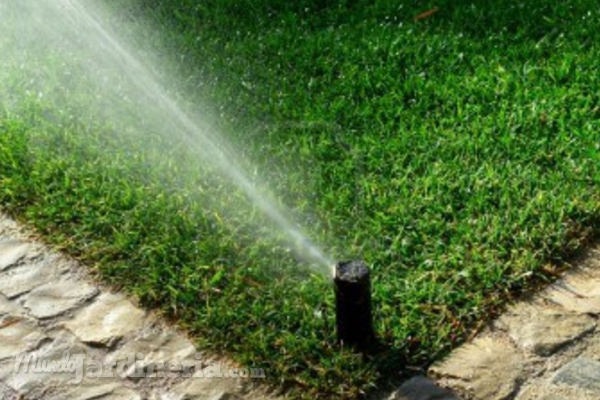 Cómo recolectar el agua de lluvia para el riego