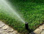 Cómo recolectar el agua de lluvia para el riego