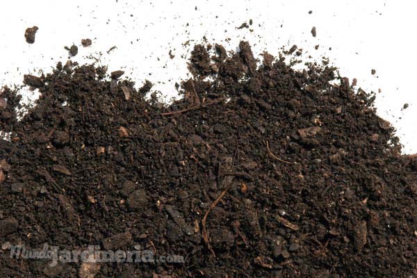 Qué es el compost y cómo fabricarlo