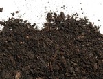 Qué es el compost y cómo fabricarlo