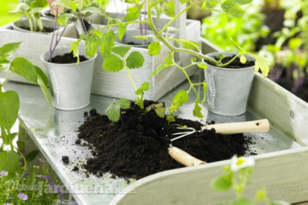 Cómo mantener el compost en perfecto estado