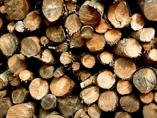 troncos-madera-pino.jpg