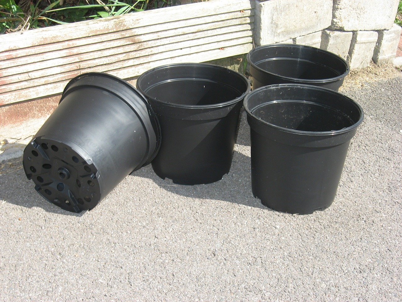 flower-pots-215692-1280.jpg