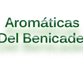 Aromáticas Del Benicadell