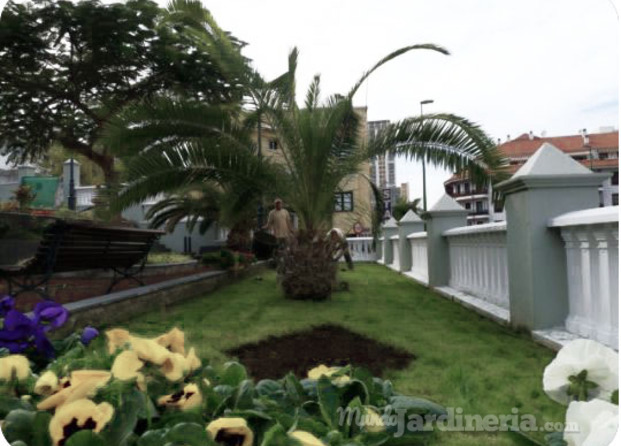 Jardinería Servinjaca