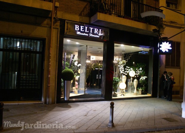 Beltri