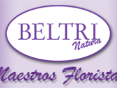 Beltri Natura ( Maestros Floristas Murcia S.L. )