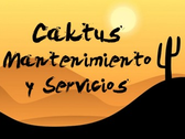 Caktus mantenimientos y servicios S.L.