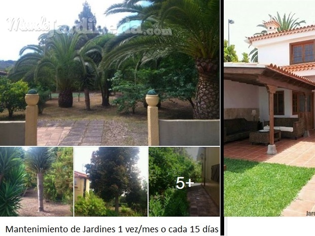 Mantenimiento de jardines