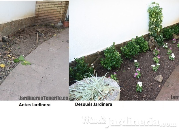 Jardinera antes y después 