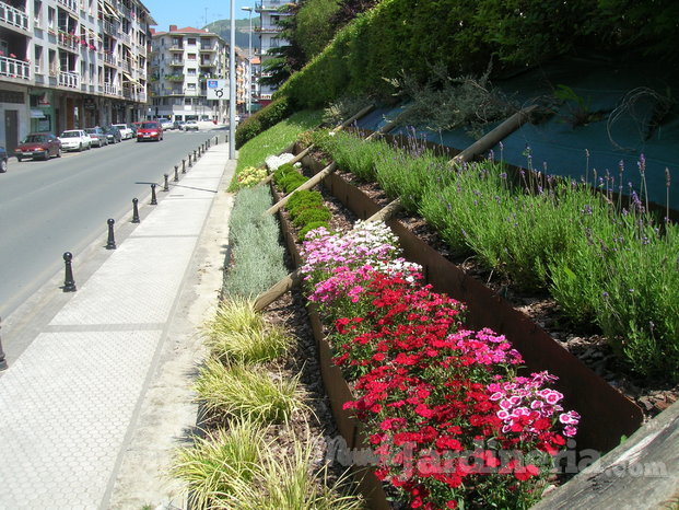 Creación jardineria erica, plantación en pequeñas terrazas, bajo las vías del tren andoain