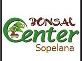 Bonsai Center Sopelana