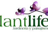 Plantlife | Jardinería y Paisajismo