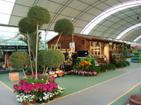 Garden Center en Ronda