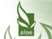 ALOE PLANTES I FLORS