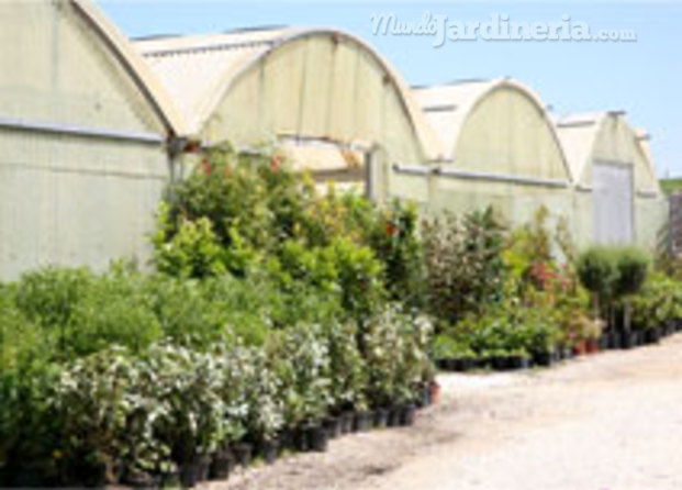 Vista de las plantas