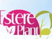 Estereplant