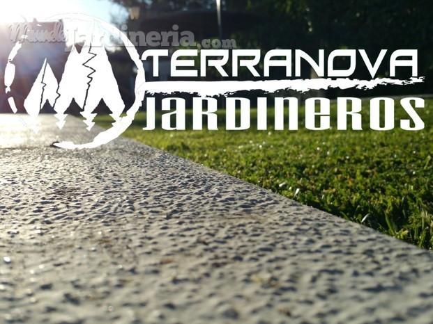 Terranova