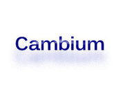 Cambium