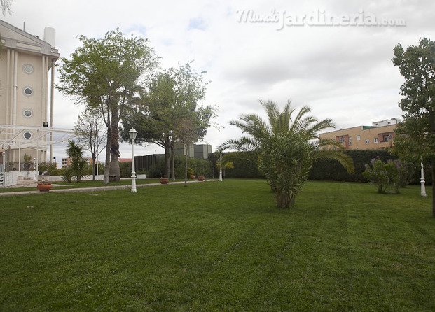 Mantenimiento del Hotel Velada Mérida