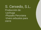 Cerxedo